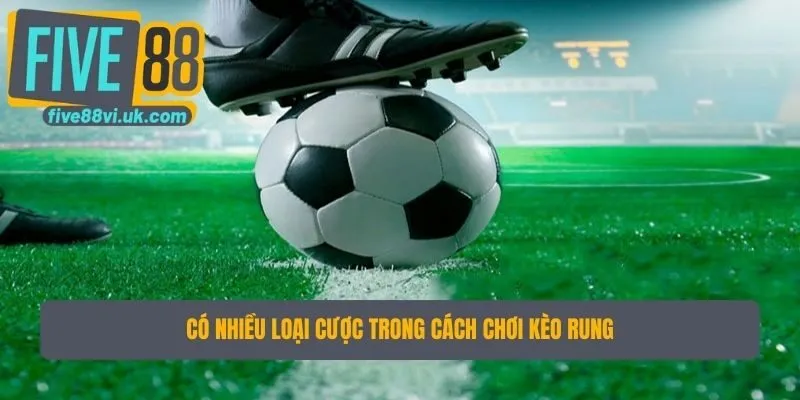 Có nhiều loại cược trong cách chơi kèo rung Có nhiều loại cược trong cách chơi kèo rung
