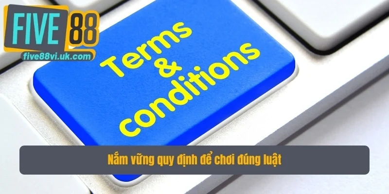 Nắm vững điều khoản và điều kiện để chơi đúng luật Nắm vững điều khoản và điều kiện để chơi đúng luật