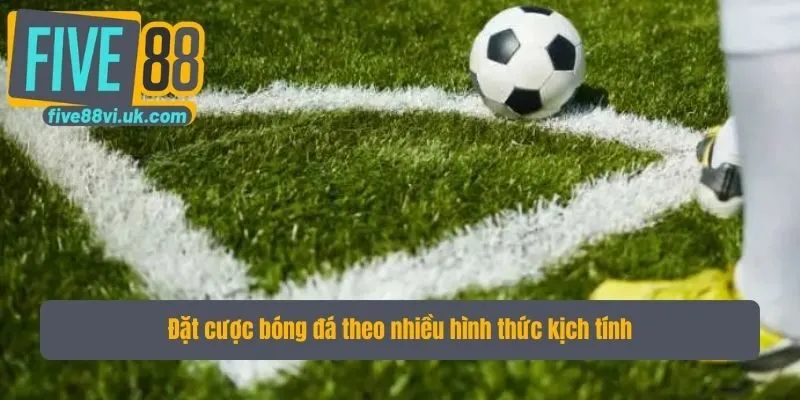 Đặt cược bóng đá theo nhiều hình thức kịch tính Đặt cược bóng đá theo nhiều hình thức kịch tính