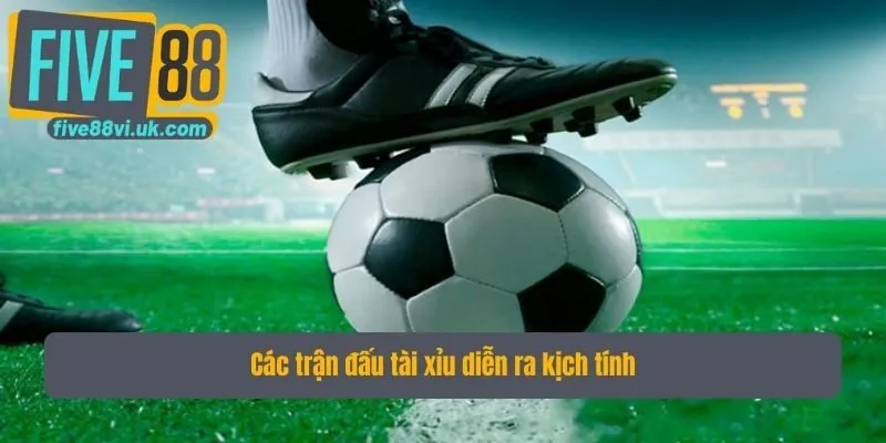 Các trận đấu tài xỉu diễn ra kịch tính Các trận đấu tài xỉu diễn ra kịch tính