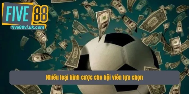 Nhiều loại hình cược cho hội viên lựa chọn Nhiều loại hình cược cho hội viên lựa chọn